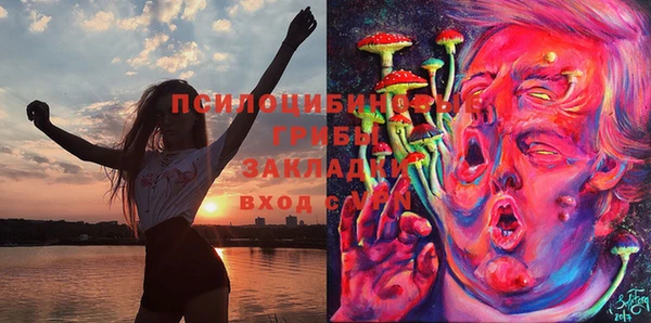 прущая мука Алексин