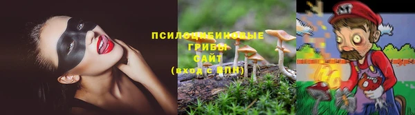 МДПВ Алексеевка