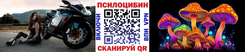 Псилоцибиновые грибы Cubensis  купить закладку  Тамбов 