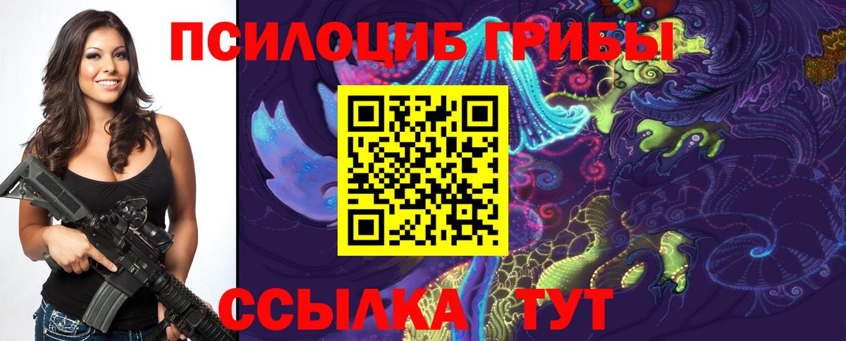 Тамбов  Псилоцибиновые грибы Psilocybe  Вход с VPN 